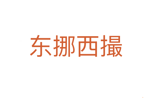 东挪西撮