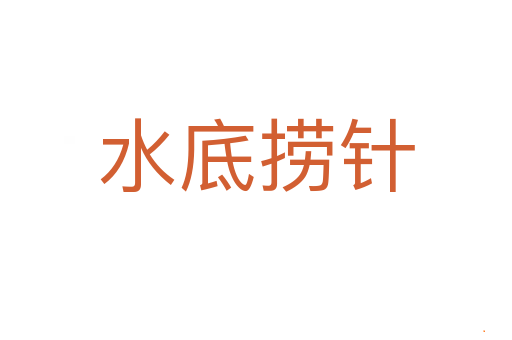 水底捞针