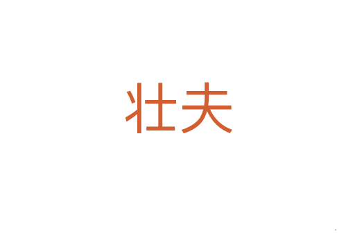 壮夫