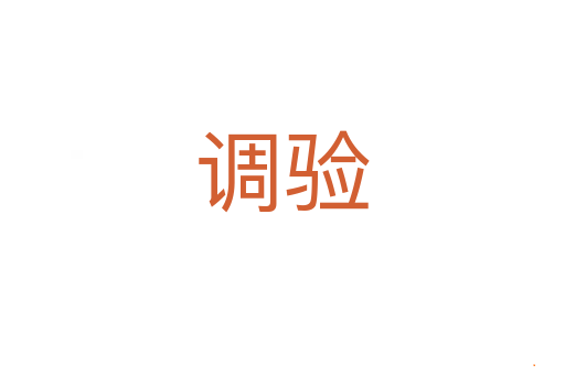 调验