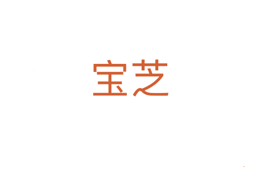 宝芝