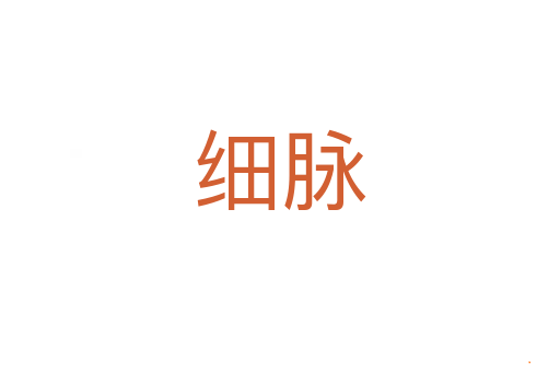 细脉