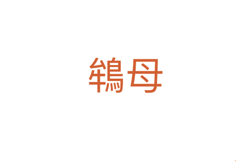 鴾母