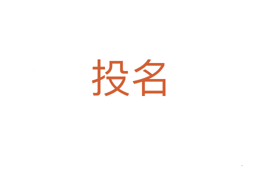 投名
