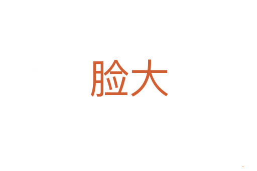 脸大