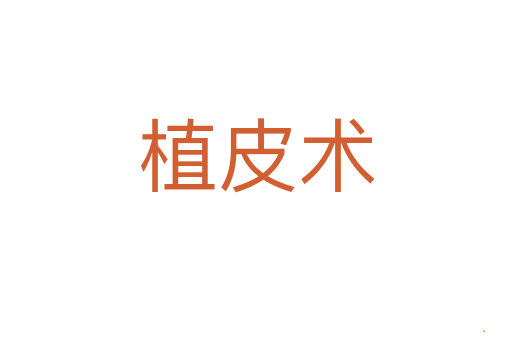 植皮术