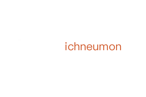ichneumon