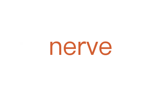 nerve
