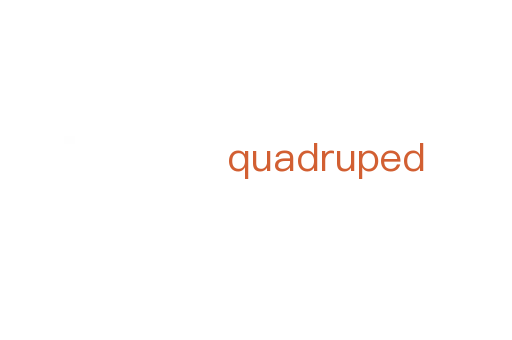 quadruped