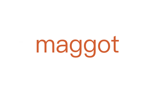 maggot