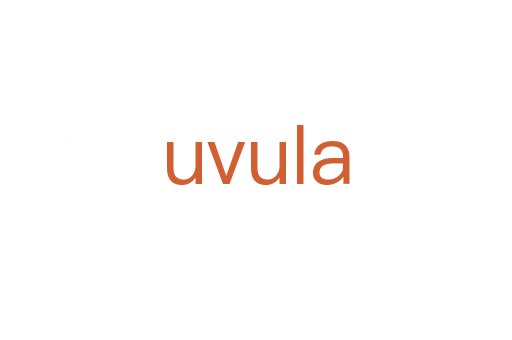 uvula