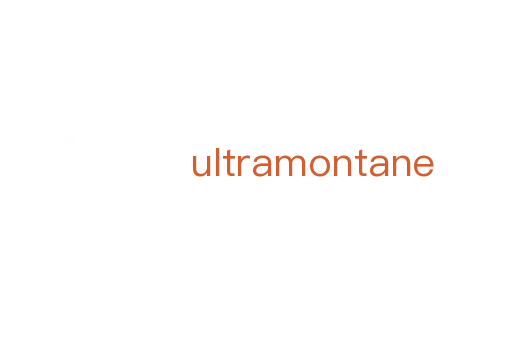 ultramontane