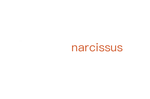 narcissus