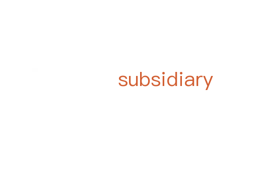 subsidiary