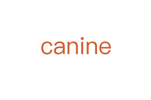 canine