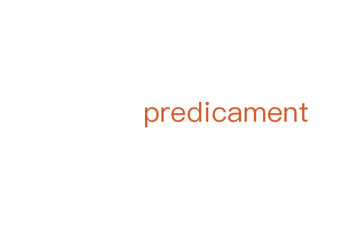 predicament